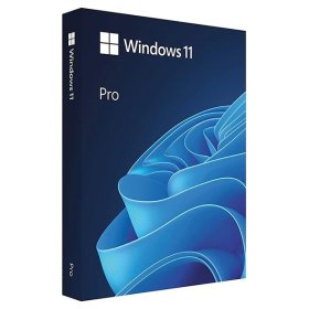 Microsoft Windows 11 Professional 64-bit, OEM DVD